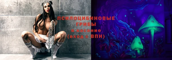 jwh Белокуриха