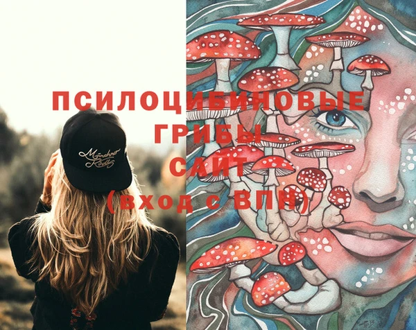 спайс Беломорск